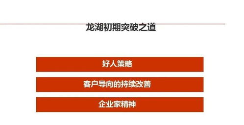 標(biāo)桿龍湖 精細(xì)化管理在企業(yè)管理與運(yùn)營中的實踐